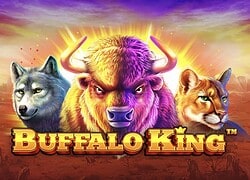 Buffalo King Club Player Casino Slot  Club Player Casino Online