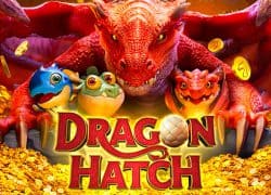 Dragon Hatch Club Player Casino Game  Club Player Casino Online