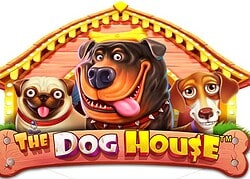 Dog House Club Player Casino Game  Club Player Casino Online